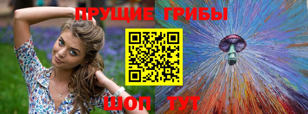 Котлас  Псилоцибиновые грибы MAGIC MUSHROOMS  Вход с VPN  Псилоцибиновые грибы GOLDEN TEACHER 