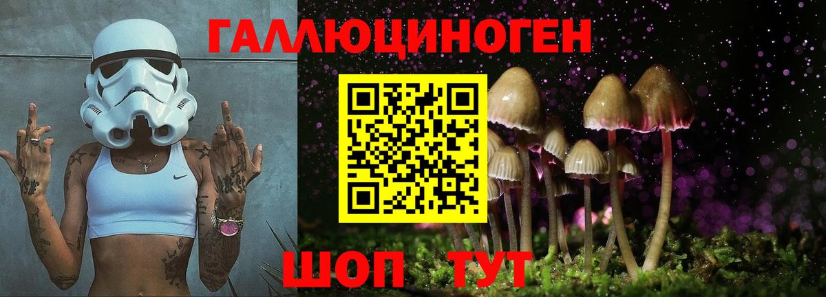 Галлюциногенные грибы прущие грибы Котлас